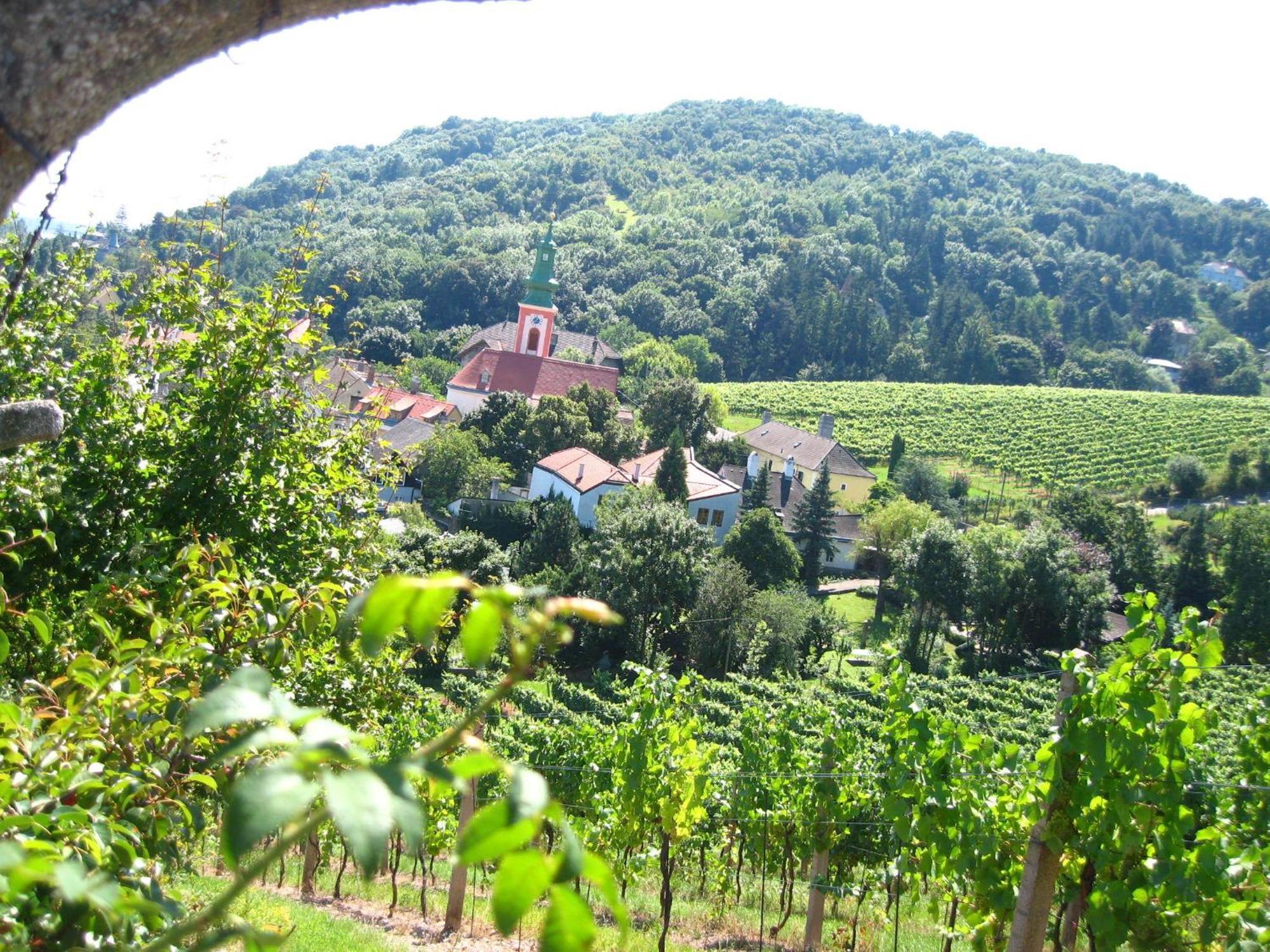 Vienna Cottage Εξωτερικό φωτογραφία